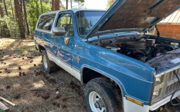 Chevrolet-Blazer-12-ton-1981-5