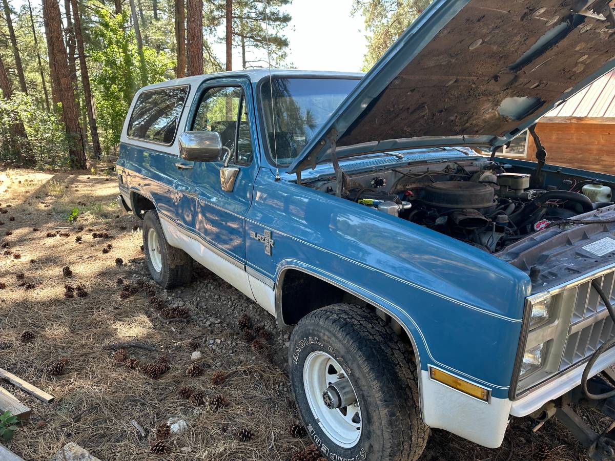 Chevrolet-Blazer-12-ton-1981-5