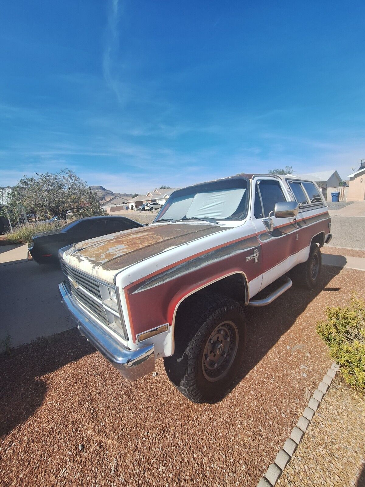 Chevrolet-Blazer-1984-3