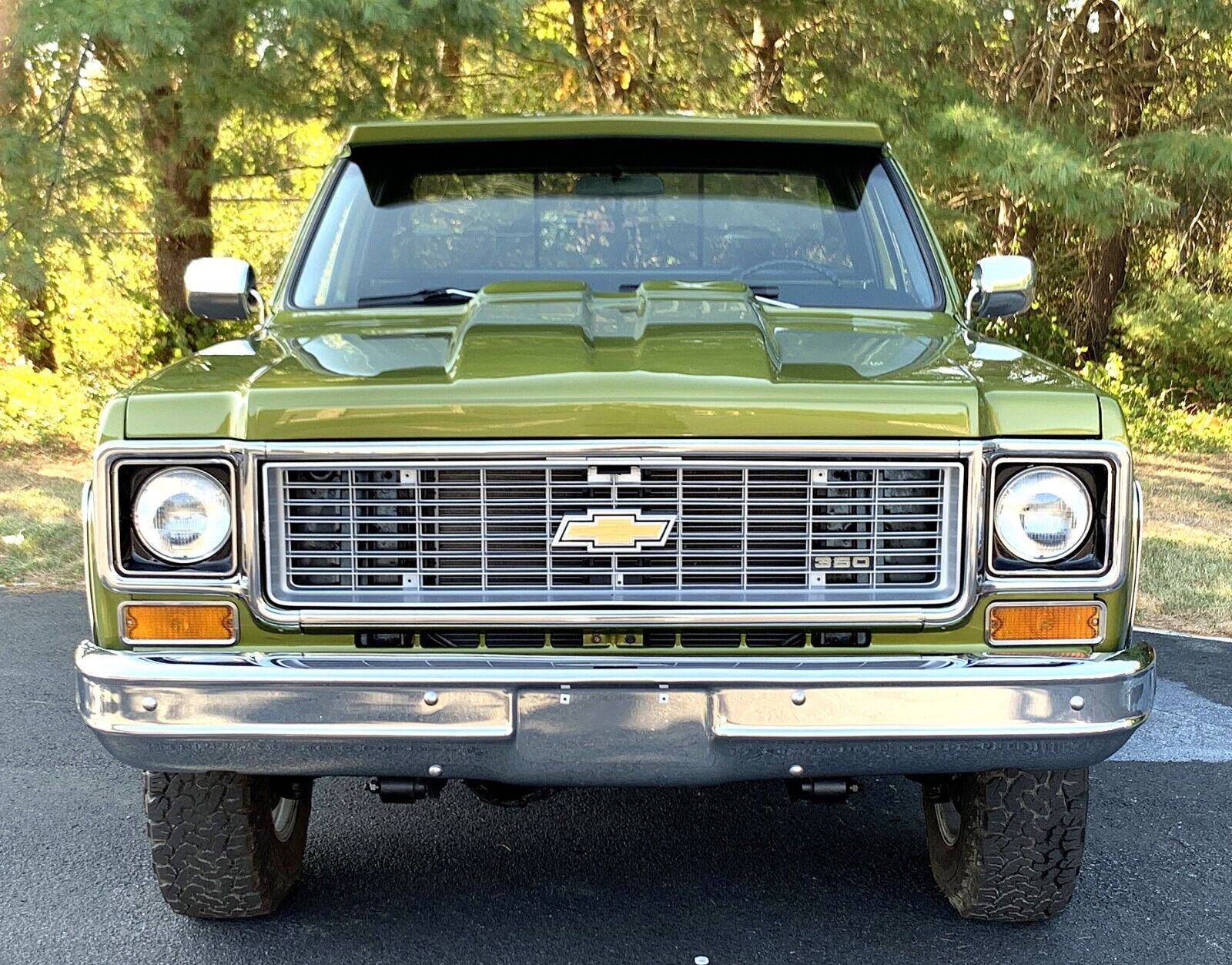 Chevrolet-C-10-1973-1