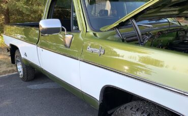 Chevrolet-C-10-1973-19