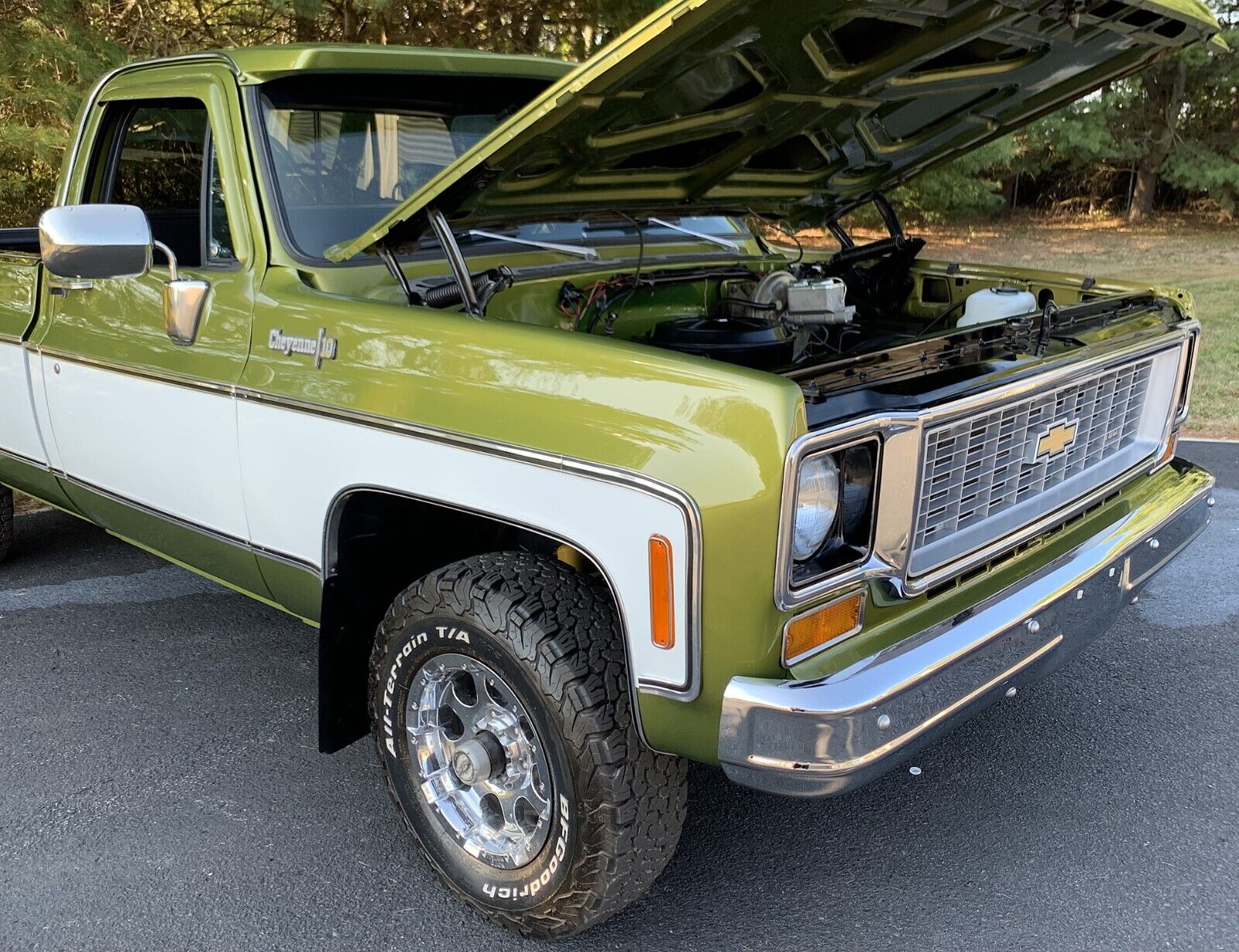 Chevrolet-C-10-1973-3