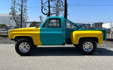 Chevrolet-C-10-1974-5