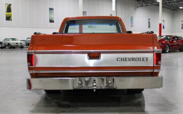 Chevrolet-C-10-1975-3