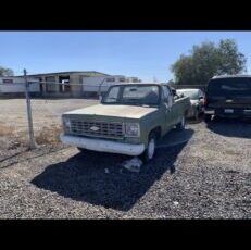 Chevrolet-C-10-1975-6