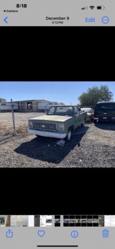 Chevrolet-C-10-1975-6