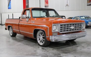 Chevrolet-C-10-1975-6