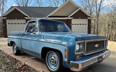 Chevrolet-C-10-1976-8