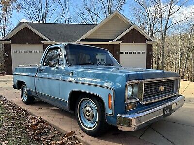 Chevrolet-C-10-1976-8