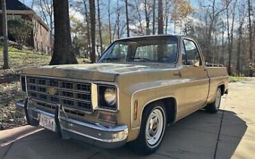 Chevrolet-C-10-1977-1