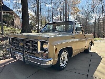 Chevrolet-C-10-1977-1