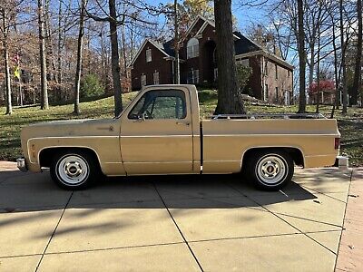 Chevrolet C-10  1977 à vendre