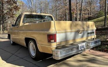 Chevrolet-C-10-1977-2