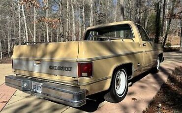 Chevrolet-C-10-1977-5