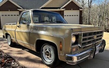 Chevrolet-C-10-1977-7