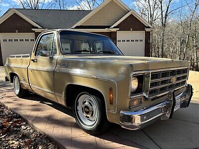 Chevrolet-C-10-1977-7