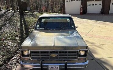 Chevrolet-C-10-1977-9