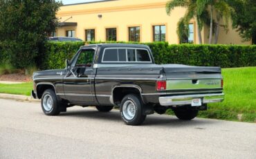 Chevrolet-C-10-1978-3