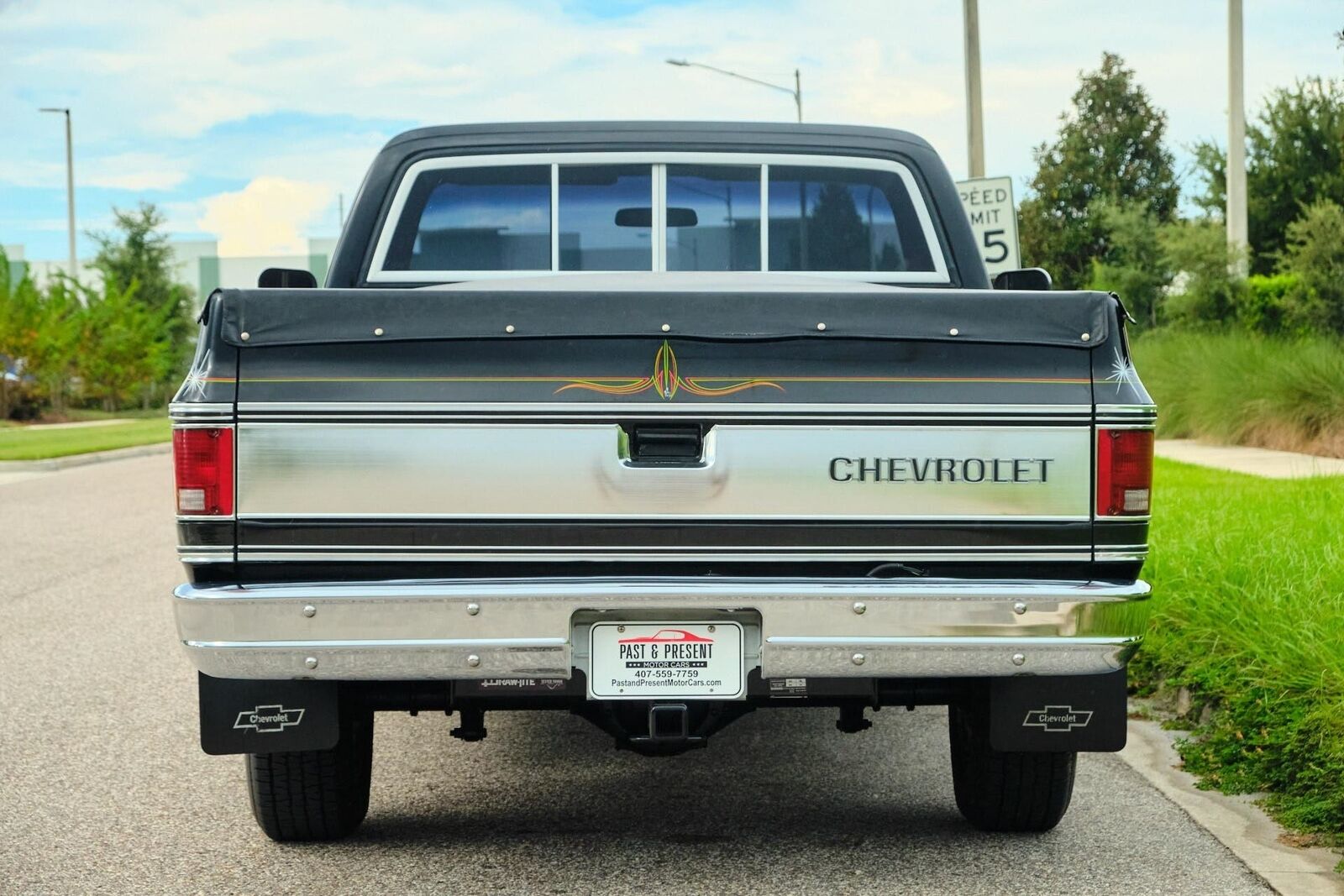 Chevrolet-C-10-1978-4