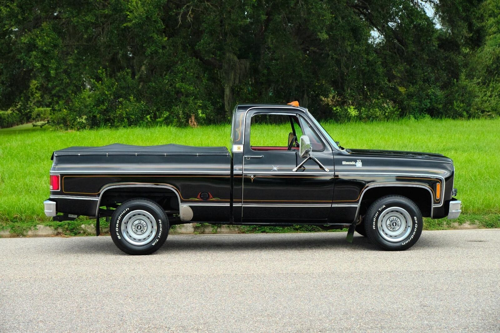 Chevrolet-C-10-1978-6