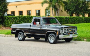 Chevrolet-C-10-1978-8