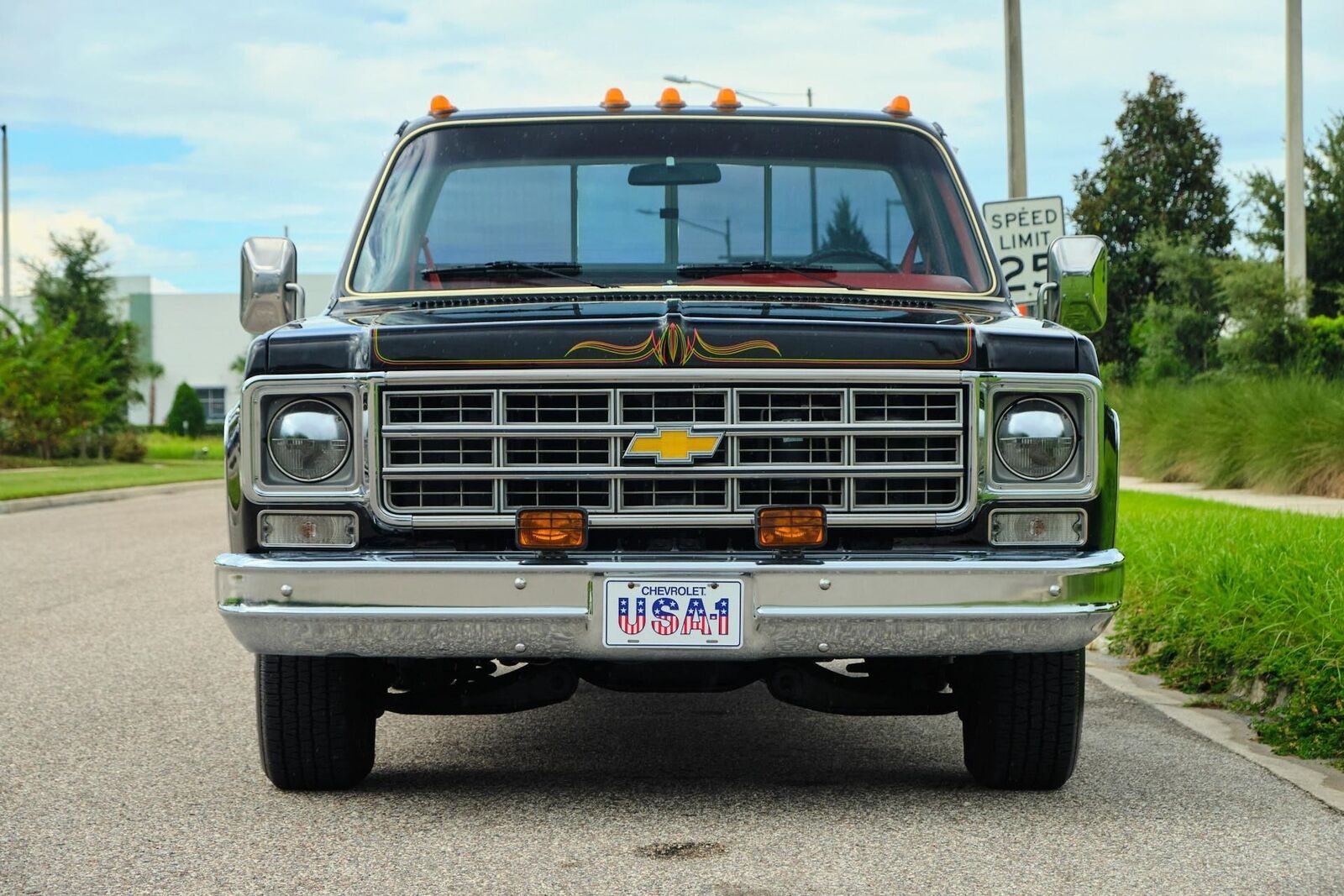 Chevrolet-C-10-1978-9