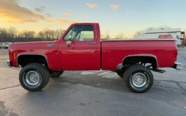 Chevrolet-C-10-1979-1