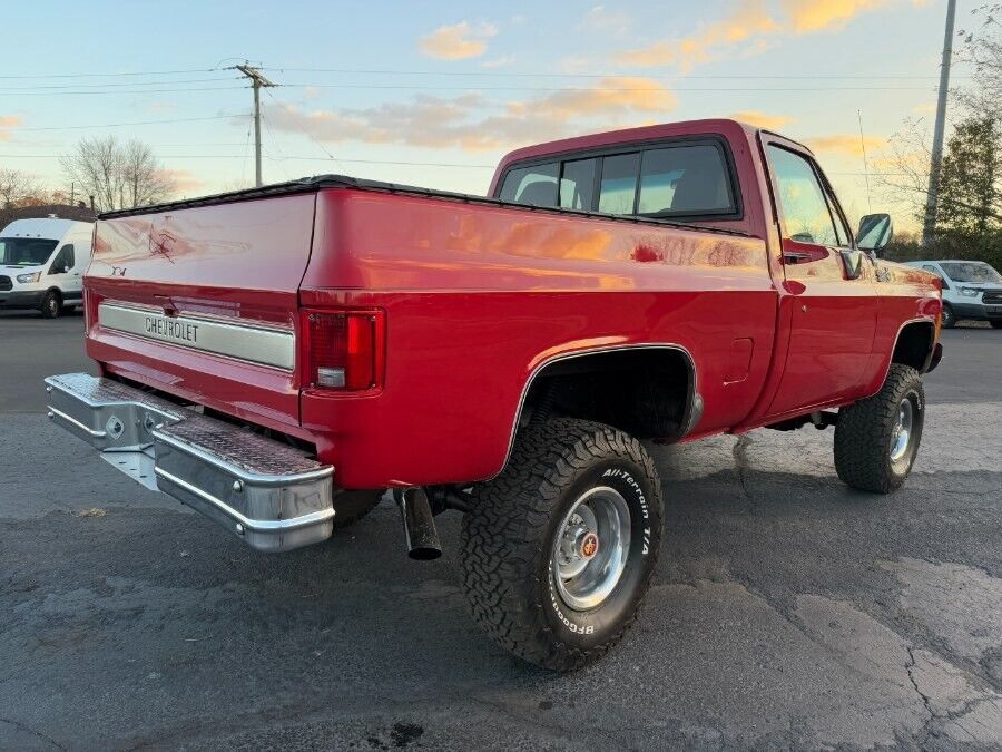 Chevrolet-C-10-1979-4