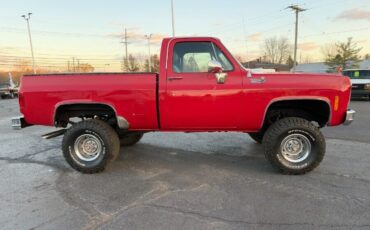 Chevrolet-C-10-1979-5