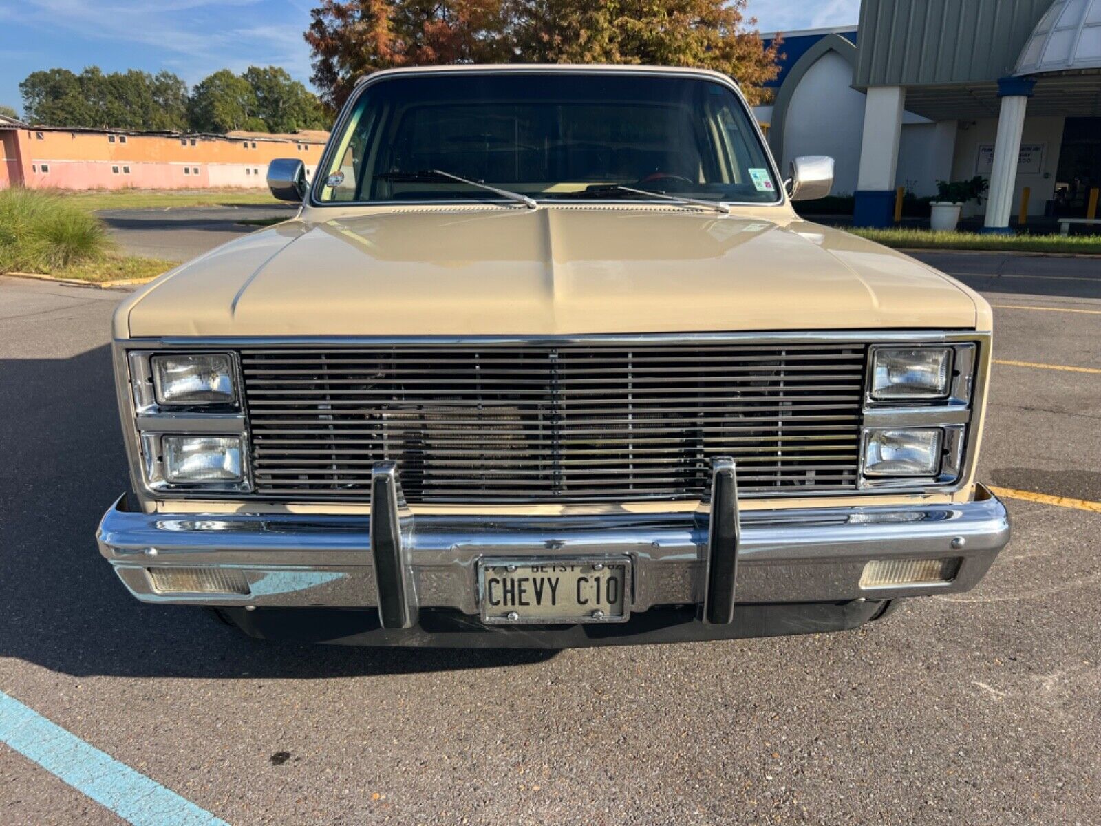 Chevrolet-C-10-1982-1