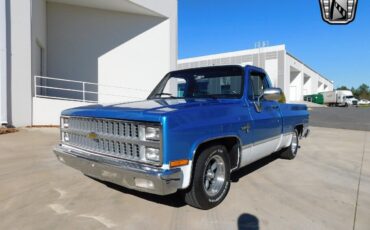 Chevrolet-C-10-1982-4