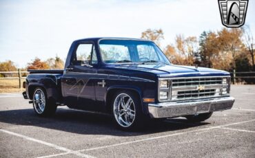 Chevrolet-C-10-1983-8