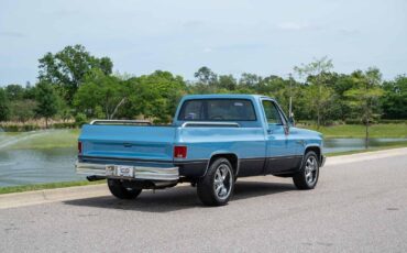 Chevrolet-C-10-1985-5