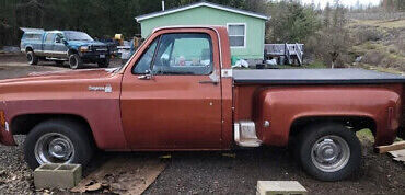 Chevrolet-C-10-Pickup-1976-2