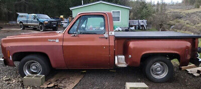 Chevrolet-C-10-Pickup-1976-2