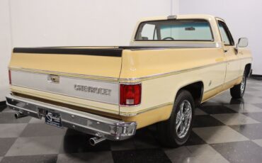 Chevrolet-C-10-Pickup-1977-10