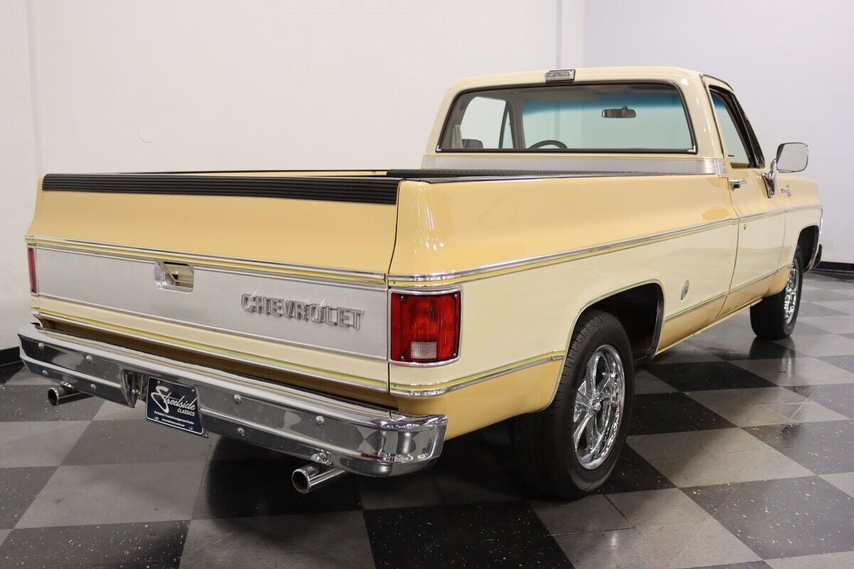 Chevrolet-C-10-Pickup-1977-10