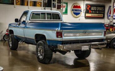 Chevrolet-C-10-Pickup-1977-11