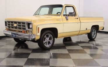 Chevrolet-C-10-Pickup-1977-5