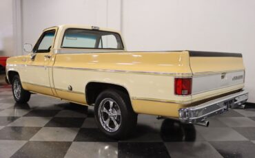 Chevrolet-C-10-Pickup-1977-6