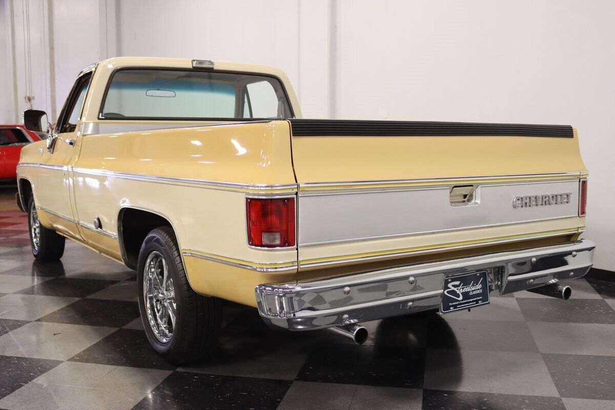 Chevrolet-C-10-Pickup-1977-7