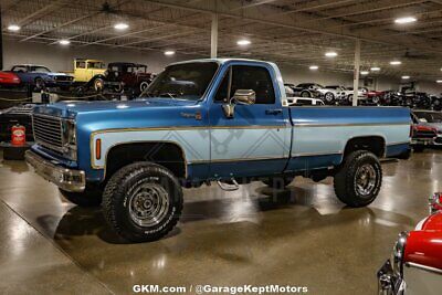 Chevrolet-C-10-Pickup-1977-8