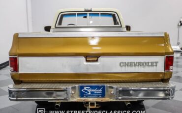 Chevrolet-C-10-Pickup-1979-10