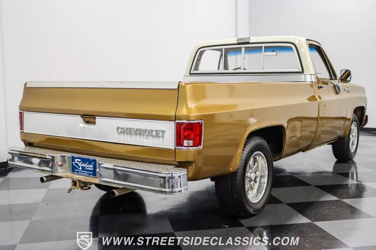 Chevrolet-C-10-Pickup-1979-11