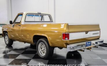 Chevrolet-C-10-Pickup-1979-8