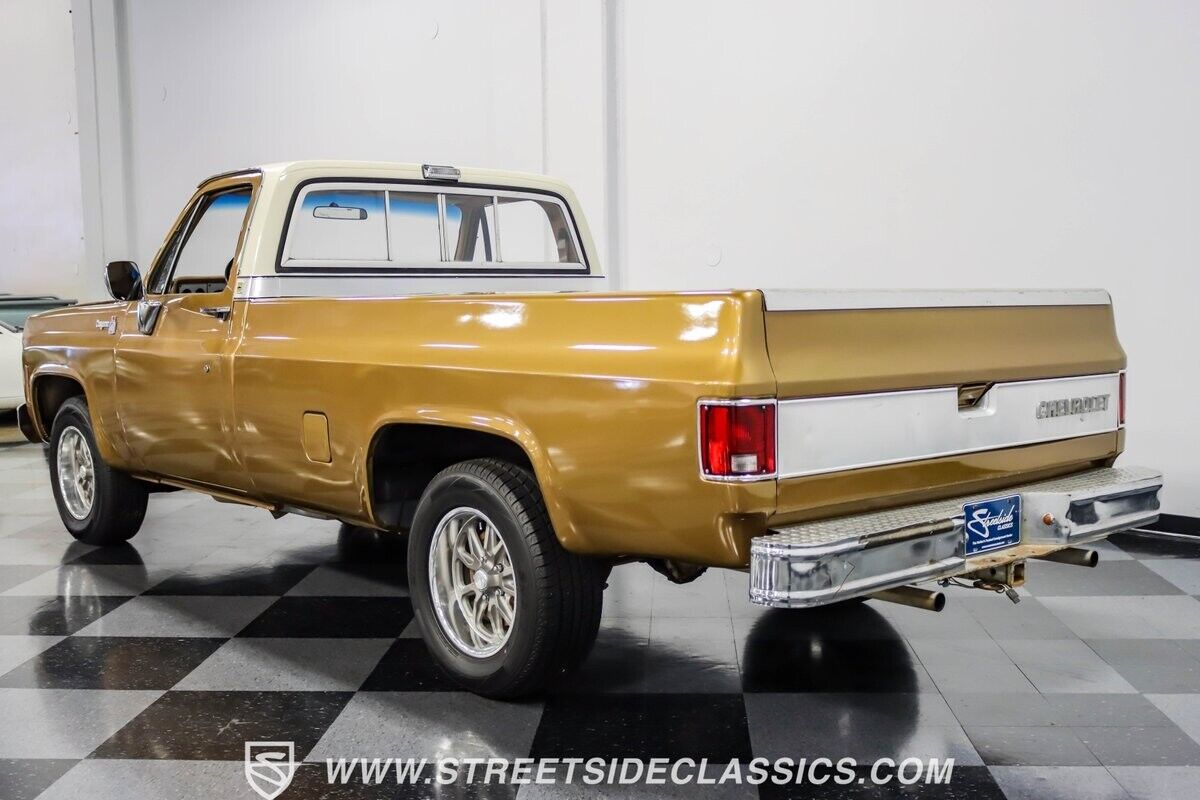 Chevrolet-C-10-Pickup-1979-8