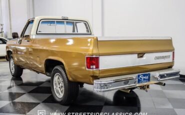 Chevrolet-C-10-Pickup-1979-9