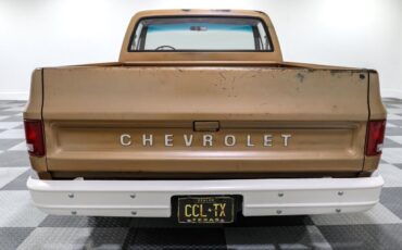 Chevrolet-C-10-Pickup-1980-5