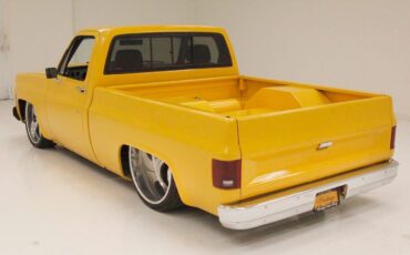 Chevrolet-C-10-Pickup-1980-5