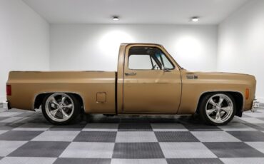 Chevrolet-C-10-Pickup-1980-7